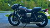 Kawasaki W800 Cafe Racer | A2 | Königswelle | Scheckheft - KAWASAKI BENZIN MOTORRAD W800