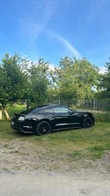 Ford EU Mustang 2.3 EcoBoost Automatik -  - Ford Mustang Gebrauchtwagen in Frankfurt