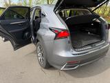 Lexus NX 300h E-Four Executive Line | Panorama | - Lexus in Hamburg: Nx