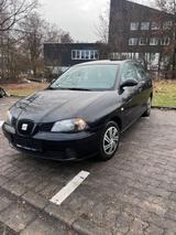 Seat Ibiza 1.4 v16 - Seat Ibiza aus 2004: 1.4