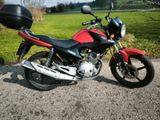 Yamaha YBR 125 - Offers matching your search criteria