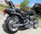 Harley-Davidson FXSTC Softail Custom - MOTORRAD AUS DEM JAHR 2007