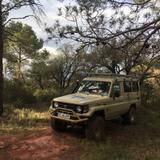 Toyota HZJ 78 Land Cruiser Buschtaxi - Toyota: Hzj