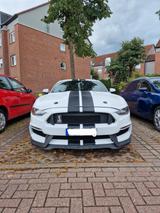 Ford Mustang GT500 Optik + GT350 Front - gebrauchte Ford Mustang aus dem Jahr 2019