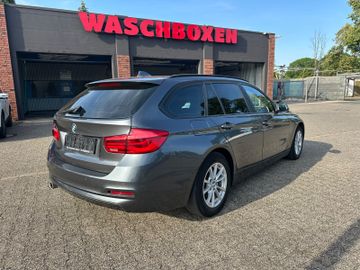 BMW 316 - 6