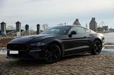Ford Mustang GT 5.0 Fastback - Ford Mustang in Magdeburg