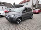 Fiat Panda WazeCross 1.2 *Sehr gepflegt* - Fiat Panda Waze mit Benzin-Antrieb