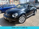 Volkswagen Beetle Cabriolet Basis BMT*SERVICE NEU*KLIMA* - Volkswagen Beetle mit Benzin-Antrieb: Cabrio