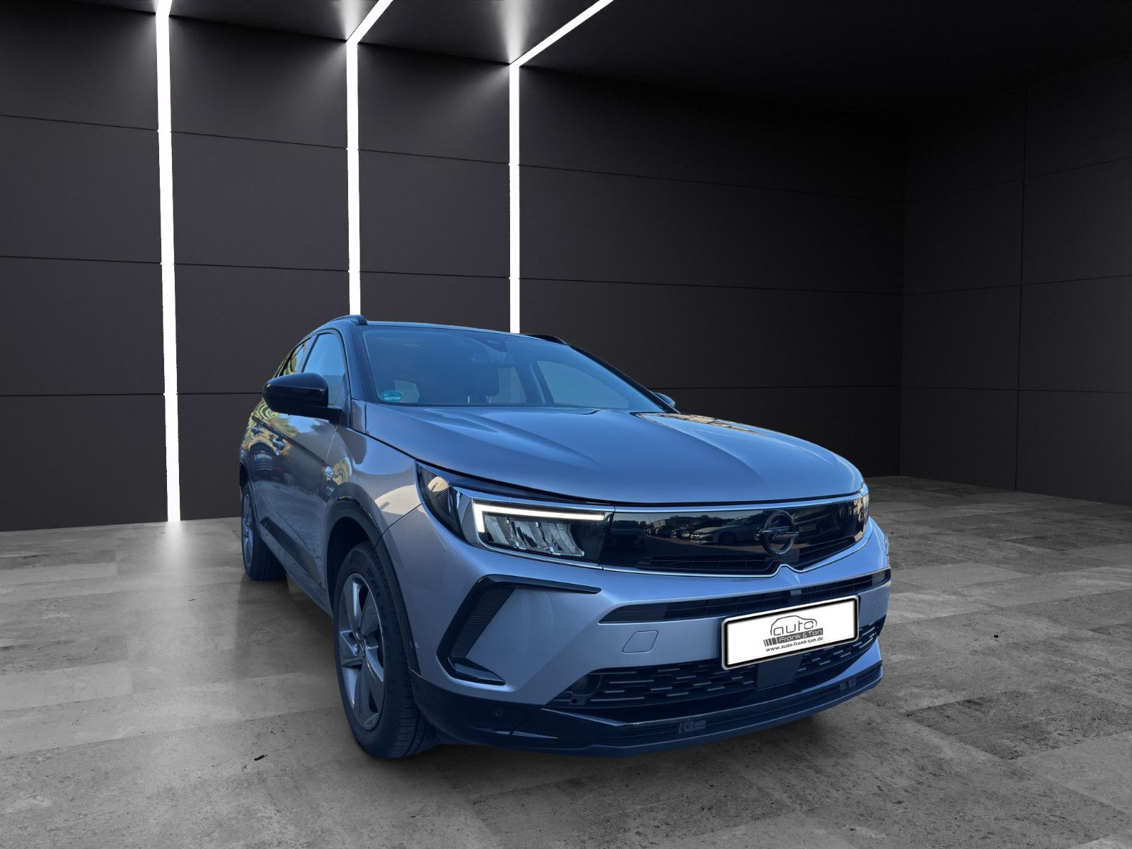 Fahrzeugabbildung Opel Grandland (X)/GS /Winter Paket/Navi/Style Paket