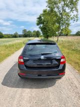 Skoda Rapid 1.6 TDI Edition Spaceback Edition  - Skoda Rapid von privat