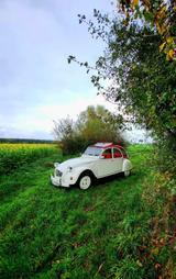 Citroën 2 CV Ente H-KENNZEICHEN NEUER MOTOR - Citroën 2 CV: Ente