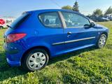 Peugeot 206 Filou 60 - Peugeot 206: 60