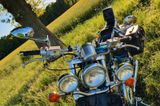 Suzuki VS 600 mit geringer Laufleistung - Angebote entsprechen deinen Suchkriterien