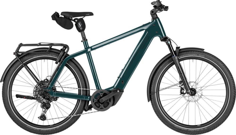 Riese & Müller Charger5 touring T pine 53 cm
