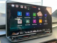Cupra Terramar 2.0 TSI DSG 4D VZ NAV HUD PANO AHK 5J G bei Autohaus Landmann & Maier OHG