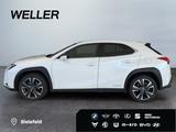 Lexus UX 250h Style Edition *Bi-LED*ACC*CAM*SHZ*CarPla - Lexus: L