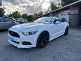 Ford Mustang Convertible 2.3 EcoBoost aut Gear B - Ford Mustang mit Schiebedach