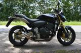Honda Hornet CB600 - HONDA HORNET 600