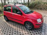 Fiat Panda 1.2 - Fiat Panda Gebrauchtwagen in Krefeld