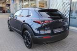 Mazda CX-30 M-Hybrid G-150 Homura NAVI ACAA LED SHZ RF - Mazda CX-30 Gebrauchtwagen