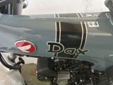 Honda Dax125 - DAX