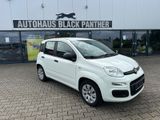 Fiat Panda Pop Klima Modell 2016 - Fiat Panda in Mönchengladbach