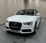 Audi A5 2.0 TFSI Cabrio ***S-LINE***B&O***19 ZOLL*** - Audi A5 mit Benzin-Antrieb: Leder