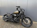 Harley-Davidson FXST Softail Standart 107  ABS Custombike!!!! - Offers