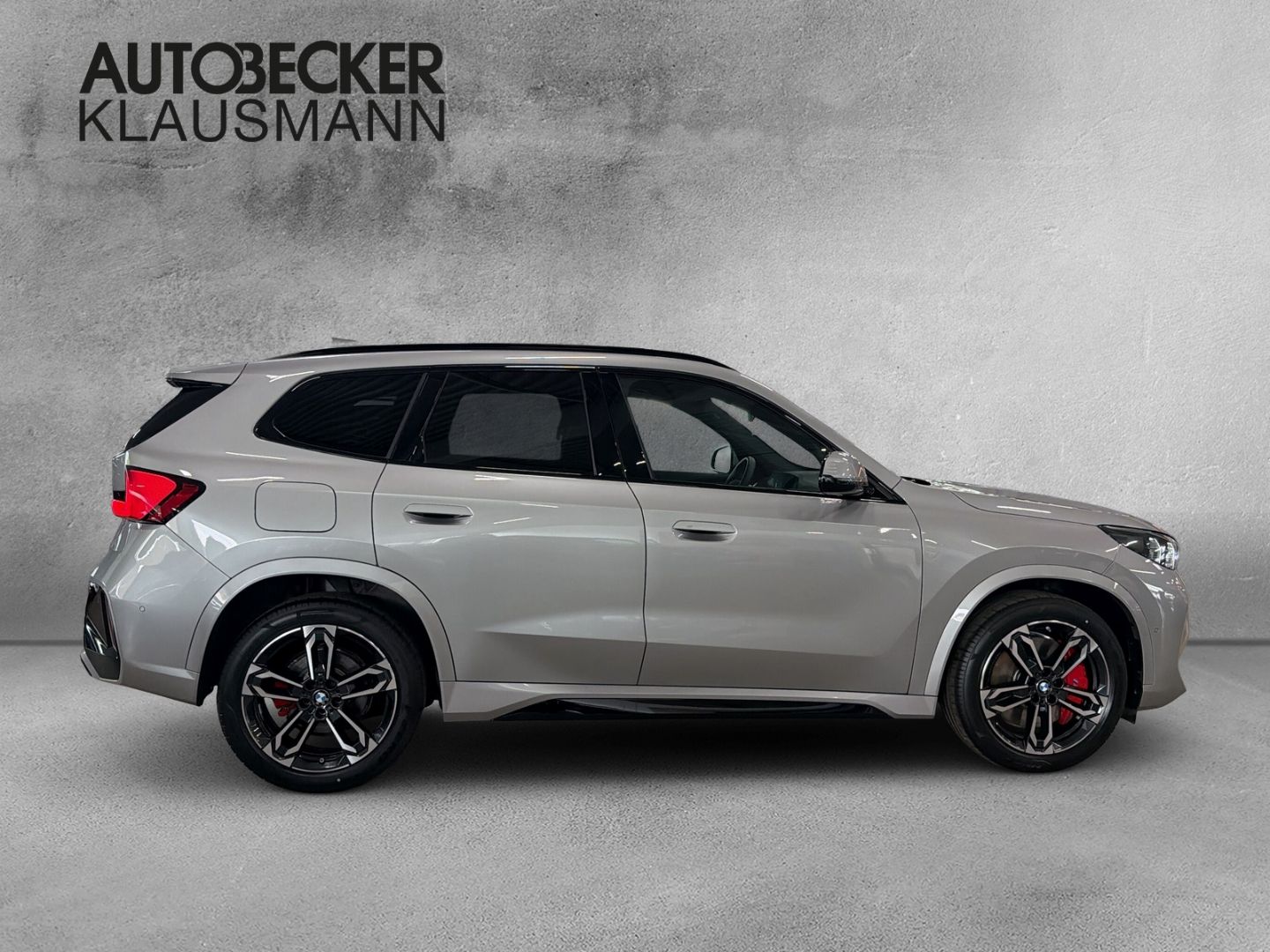BMW X1 xDrive 20d M SPORT PRO 19''ALARM AHK KAMERA foto 4