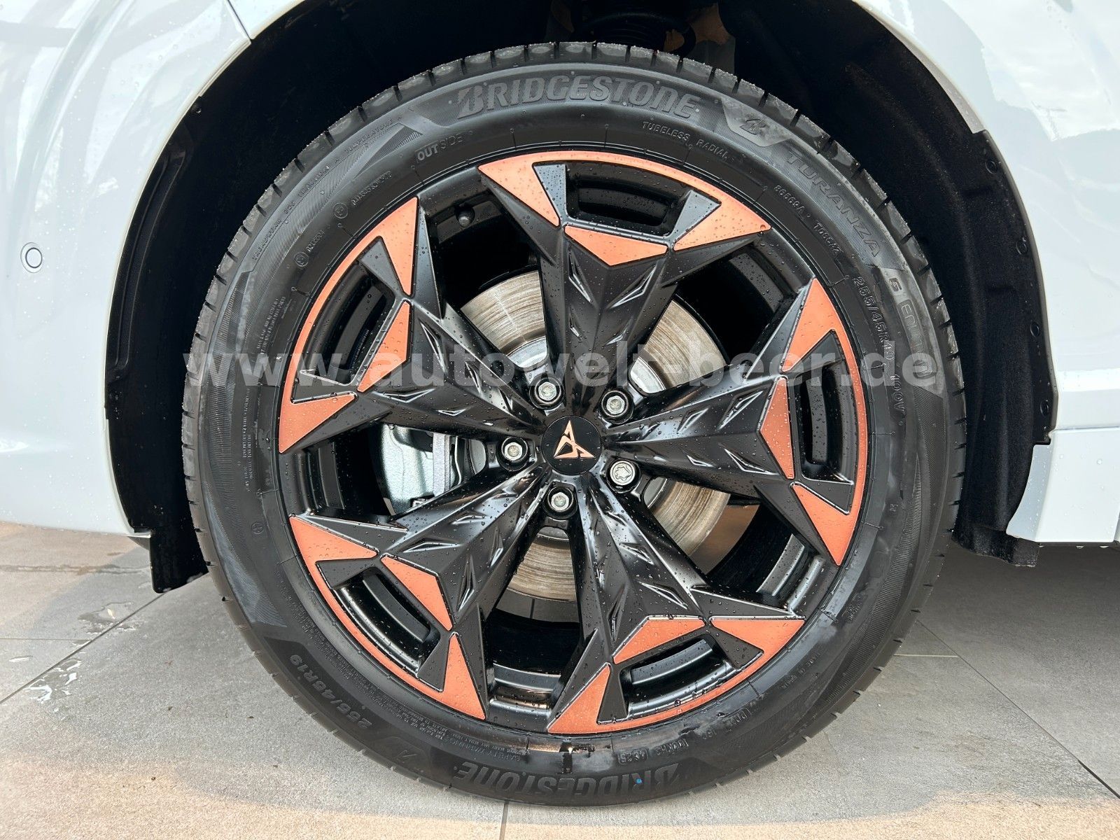 Cupra Terramar - Bild 32