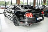 Ford Mustang 3,7 LPG BRC GT 500 SHELBY KAMERA LEDER - Ford Mustang: Shelby Gt500