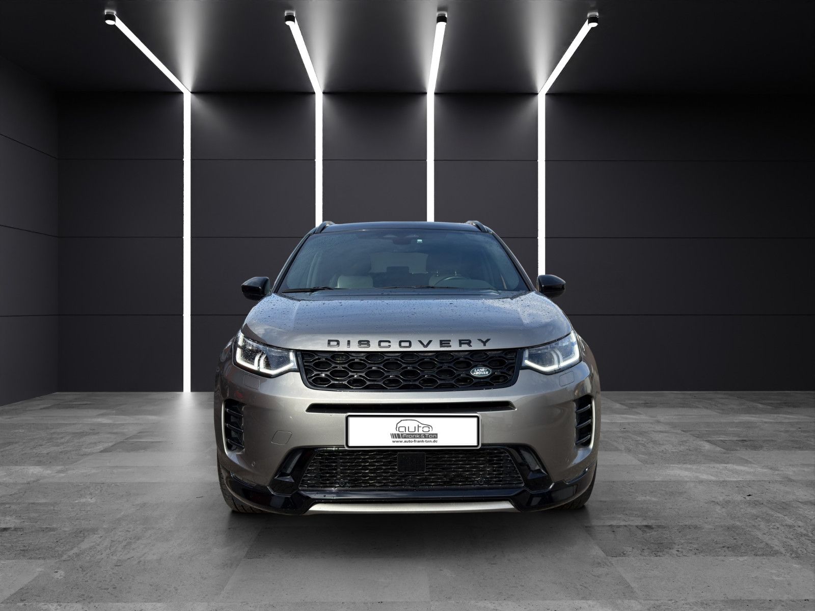 Fahrzeugabbildung Land Rover Discovery Sport P300e HSE/Pano/Leder/Kamera/Shz