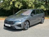 Skoda RS 195kW DSG NAVI DCC PADACH KAMERA eHK LM19"AHK - : Grau, Stoff