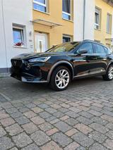 Cupra Formentor 1.5 TSI 110kW DSG - - Cupra Formentor von privat