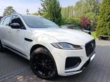 Jaguar kraftvolle & elegante Raubkatze (Gar.  bis 2029) - Jaguar aus 2024
