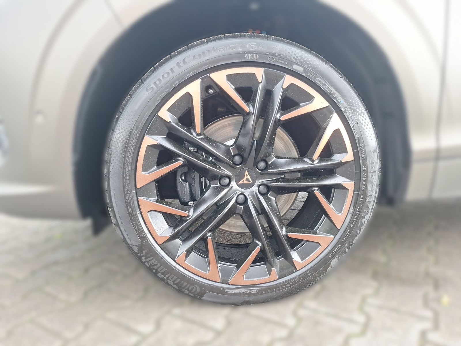 Cupra Terramar - Bild 6