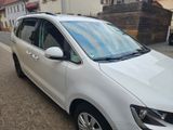 Volkswagen Sharan 2.0 TDI SCR Trendline - Volkswagen Sharan: Trendline