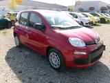 Fiat Panda Pandina ICON ROT - Fiat Panda Gebrauchtwagen in Augsburg