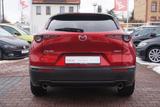 Mazda CX-30 2.0 M-Hybrid Aut. LED Navi Head-Up AHK - gebrauchte Mazda CX-30 aus dem Jahr 2022