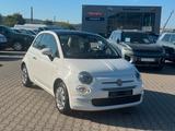 Fiat 500 1.2 8V Lounge | Glasdach | Klima - Fiat 500: Glasdach