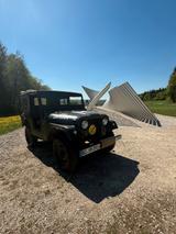 Jeep Willys Jeep cj5 - Jeep Willys Gebrauchtwagen