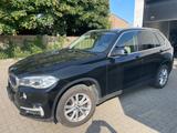 BMW X5dA 25Drive Business Bi-Xenon - BMW X5: Kombi