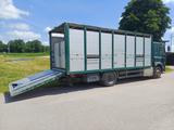 DAF CF 400 - DAF 400