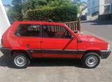 Fiat Panda 4x4 H-Kennzeichen Allrad - Fiat Panda in Bonn