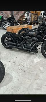 Harley-Davidson Street Bob 114 FXBBS 1HD Custom Umbau Jekill  - Offers matching your search criteria