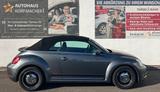 Volkswagen Beetle Cabriolet 1.2 TSI Cup SITZHZG. PDC V/H TE - gebrauchte Cabrios in Freiburg