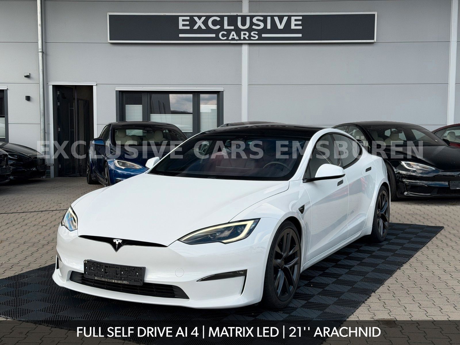 Tesla MODEL S PALLADIUM | FULL SELF DRIVE AI4 | MATRIX