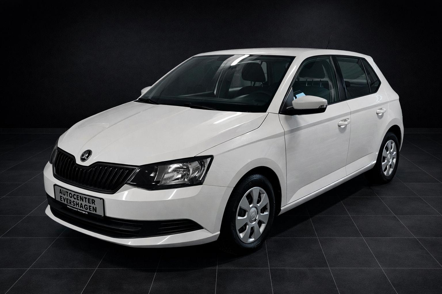 Skoda Fabia Active/Klima/HU&AU NEU