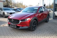 Mazda CX-30 - Vorschau Bild 5