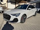 Audi S3 Limousine quattro PORSCHE KREIDE + AKRAPOVIC - Audi S3 Akrapovic Gebrauchtwagen